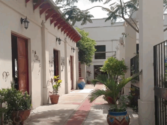 museo de campo (5)