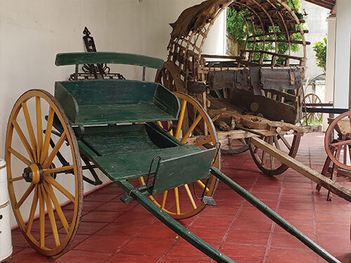 museo de campo (5)