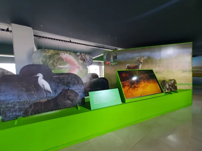 centro_interpretacion_ecoturistico (2)
