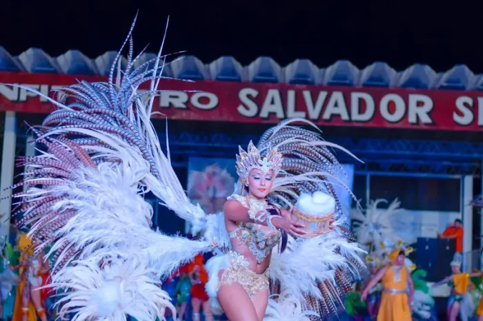 fotos_carnaval_verano (13)