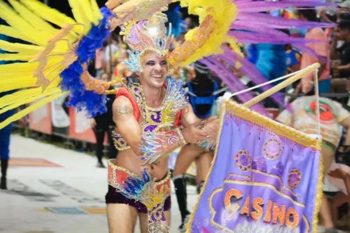 fotos_carnaval_verano (33)