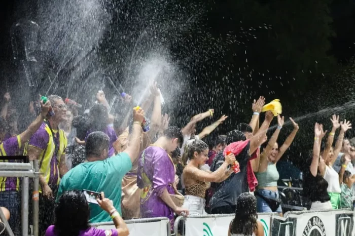 fotos_carnaval_verano (40)