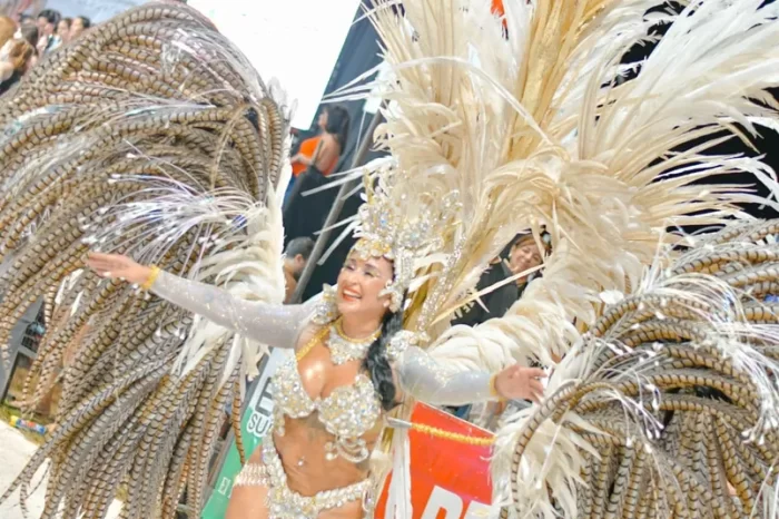 fotos_carnaval_verano (42)
