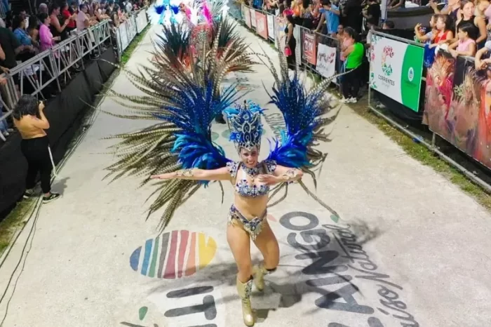 fotos_carnaval_verano (45)