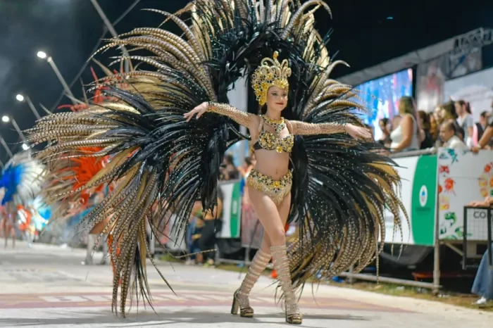 fotos_carnaval_verano (8)